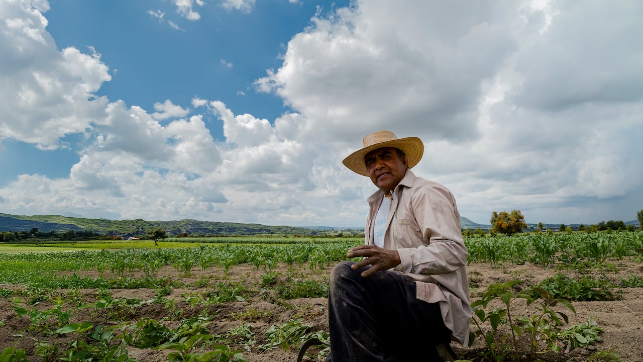 El sistema electoral colombiano involucra a ciudadanos en el conteo y validación de los votos.