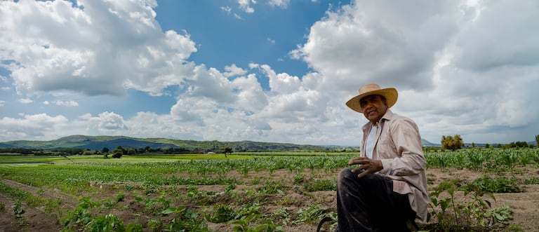 El sistema electoral colombiano involucra a ciudadanos en el conteo y validación de los votos.