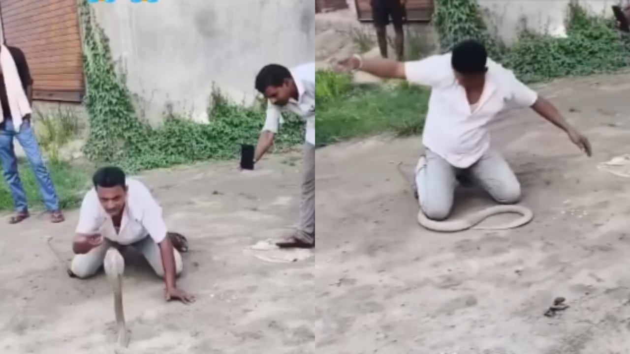 El hombre falleció en el lugar de los hechos, según testigos.