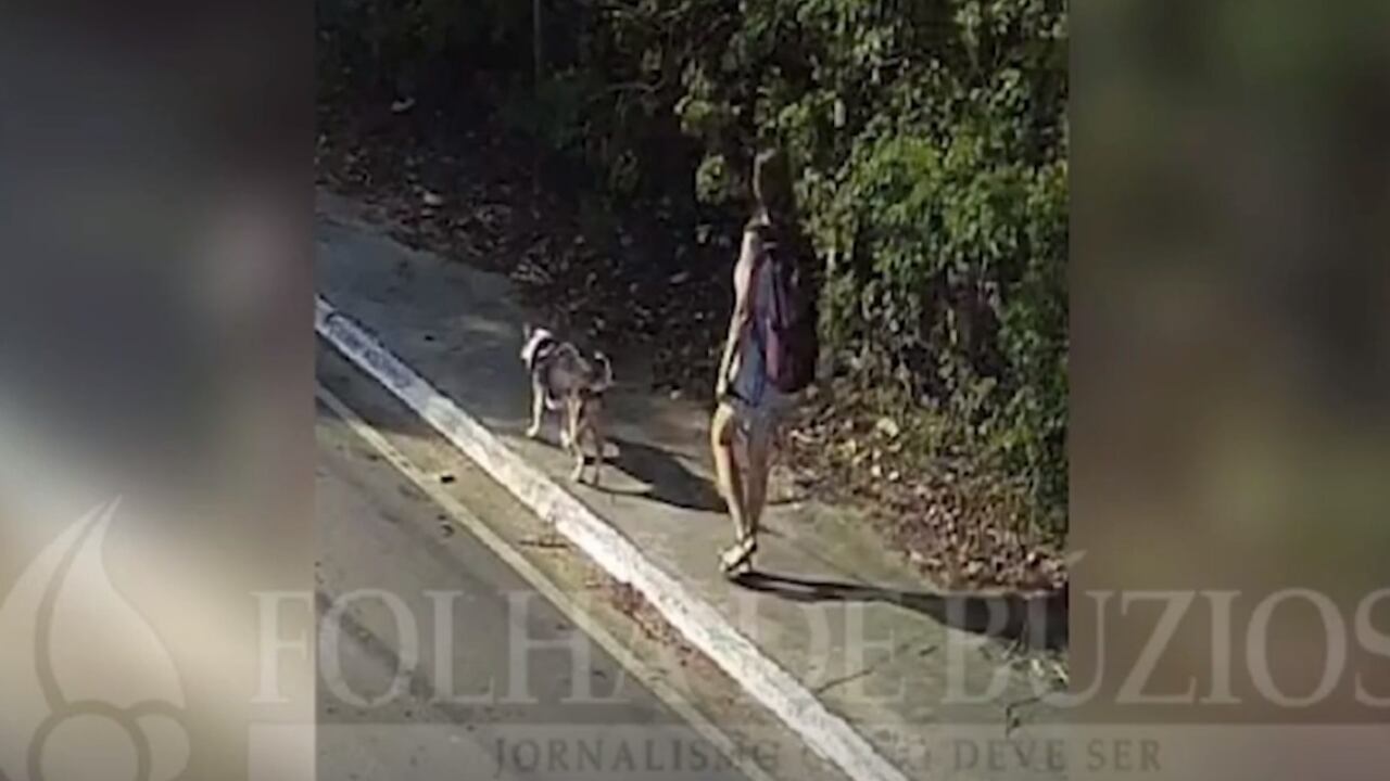 Una cámara de vigilancia captó a la mujer en compañía de su mascota caminando por una solitaria calle, mientras pasaba un hombre en bicicleta.