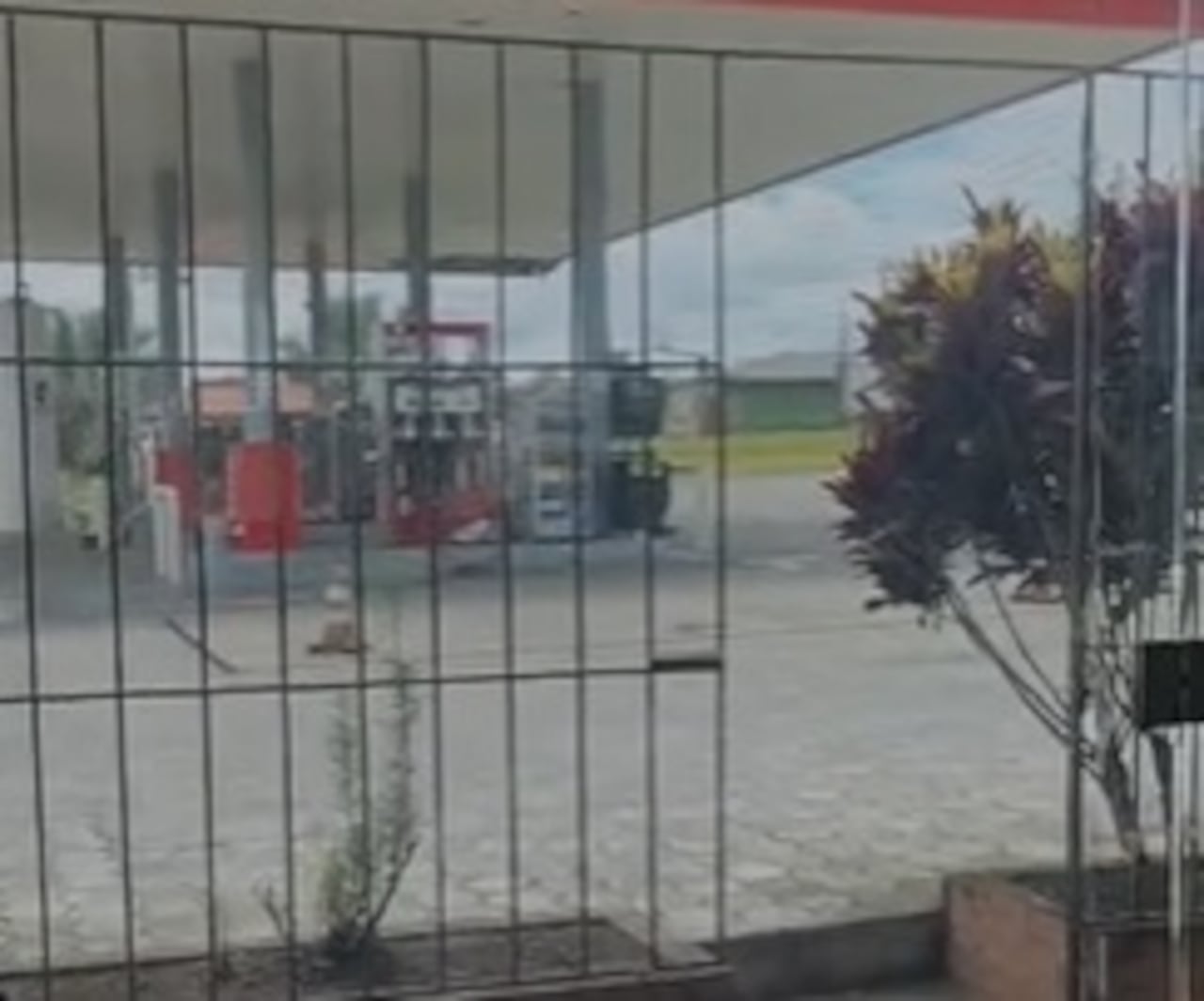 Momentos de pánico se vivieron en el sector El Cofre, sobre la vía entre Popayán y Cali, cuando sujetos armados intentaron incendiar una estación de servicio.