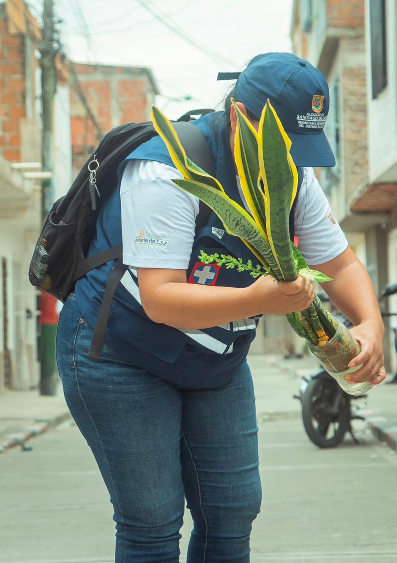 La tasa de incidencia de dengue registrada en Cali es de 1.520 casos por cada 100.000 habitantes.