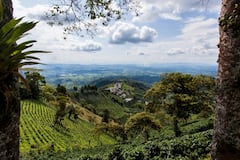 Buenavista, Quindío