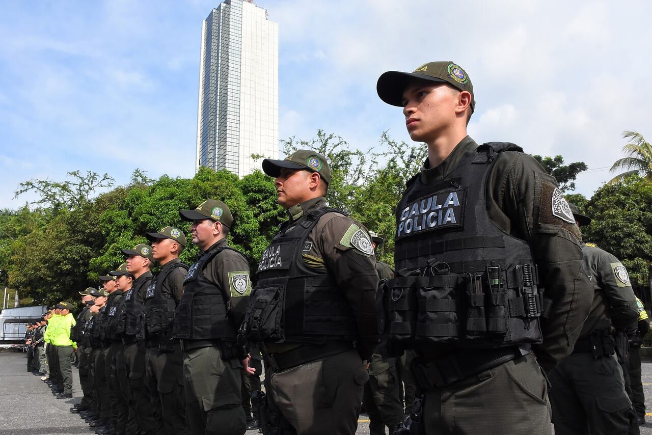 Presentación Bloque de búsqueda