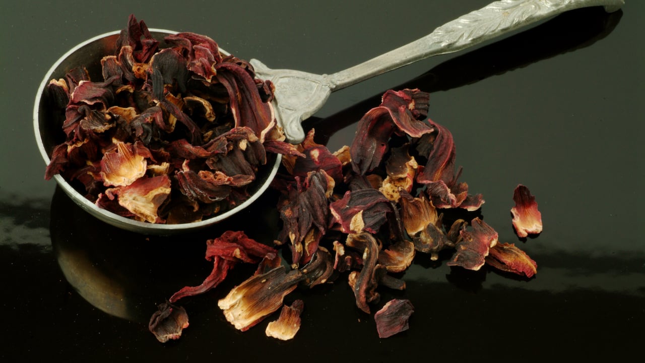 La flor de jamaica tiene muchos beneficios para la salud