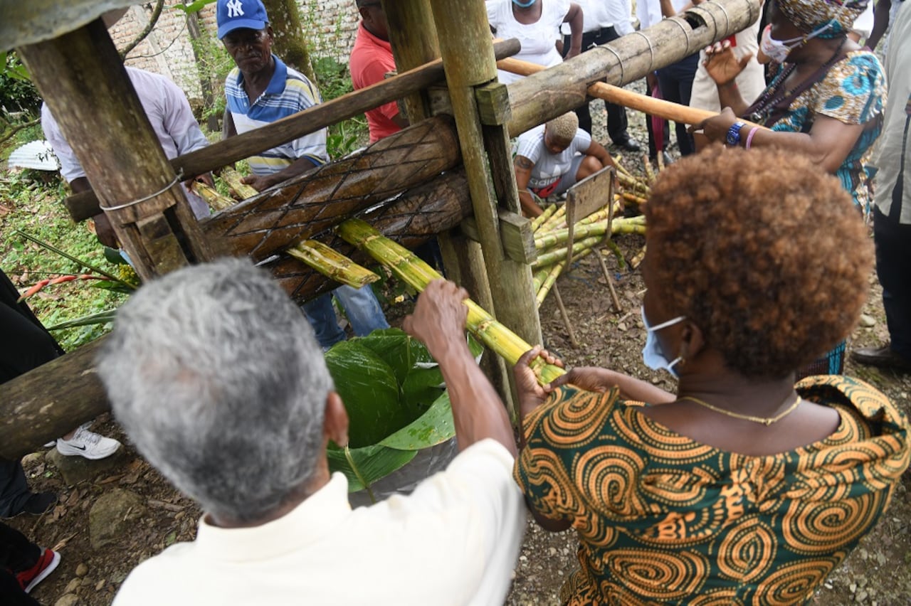Productores de viche en Tumaco se beneficiarán de la protección del Paisaje Cultura Vichero. Foto: Prensa Mincultura.
