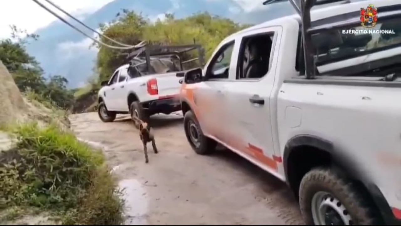 El Ejército logró la recuperación de los dos vehículos que habían sido hurtados por disidencias de las Farc. Foto: Ejército Colombiano / El País