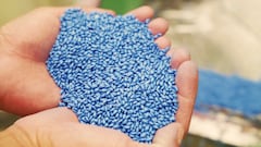 Más de 1.8 millones de hectáreas de híbrido han sido sembradas en 70 países.