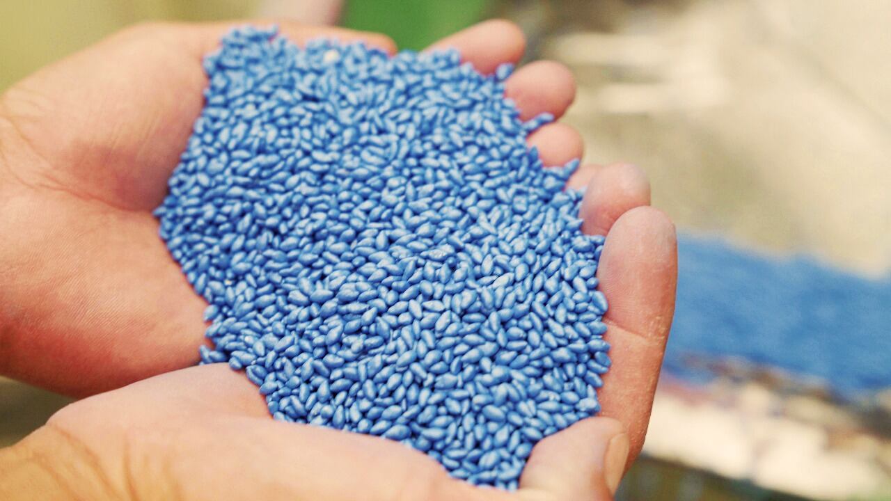 Más de 1.8 millones de hectáreas de híbrido han sido sembradas en 70 países.