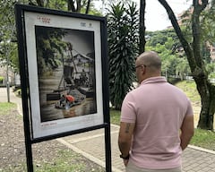 Las fotografías seleccionadas serán exhibidas en el Parque de las Gatas.