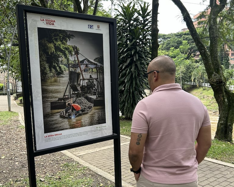 Las fotografías seleccionadas serán exhibidas en el Parque de las Gatas.