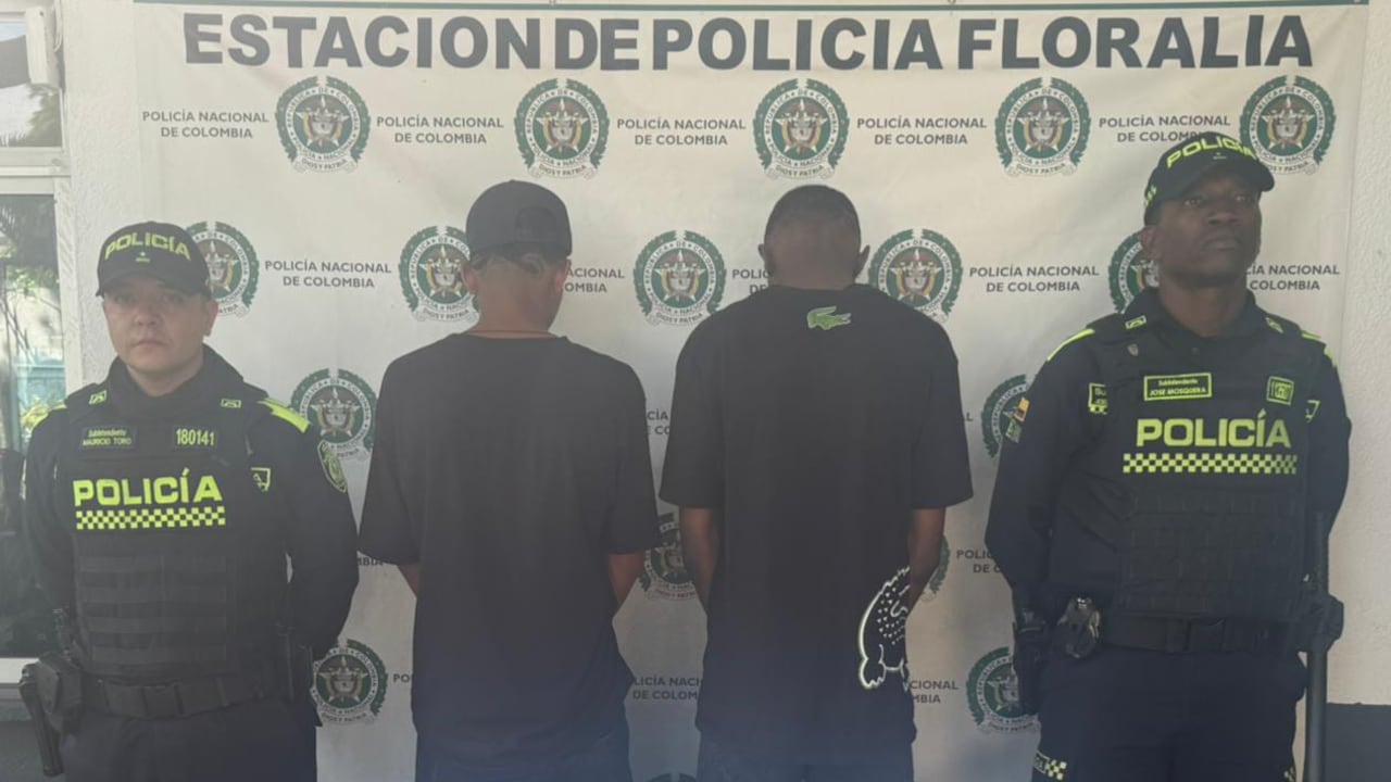 Capturan a dos menores involucrados en riña en Cali.