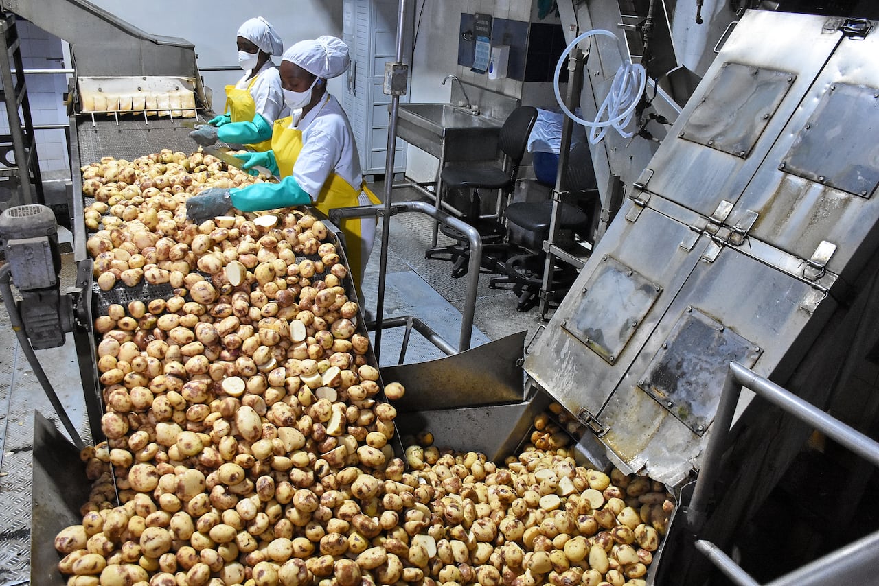 Visita Planta Yupi