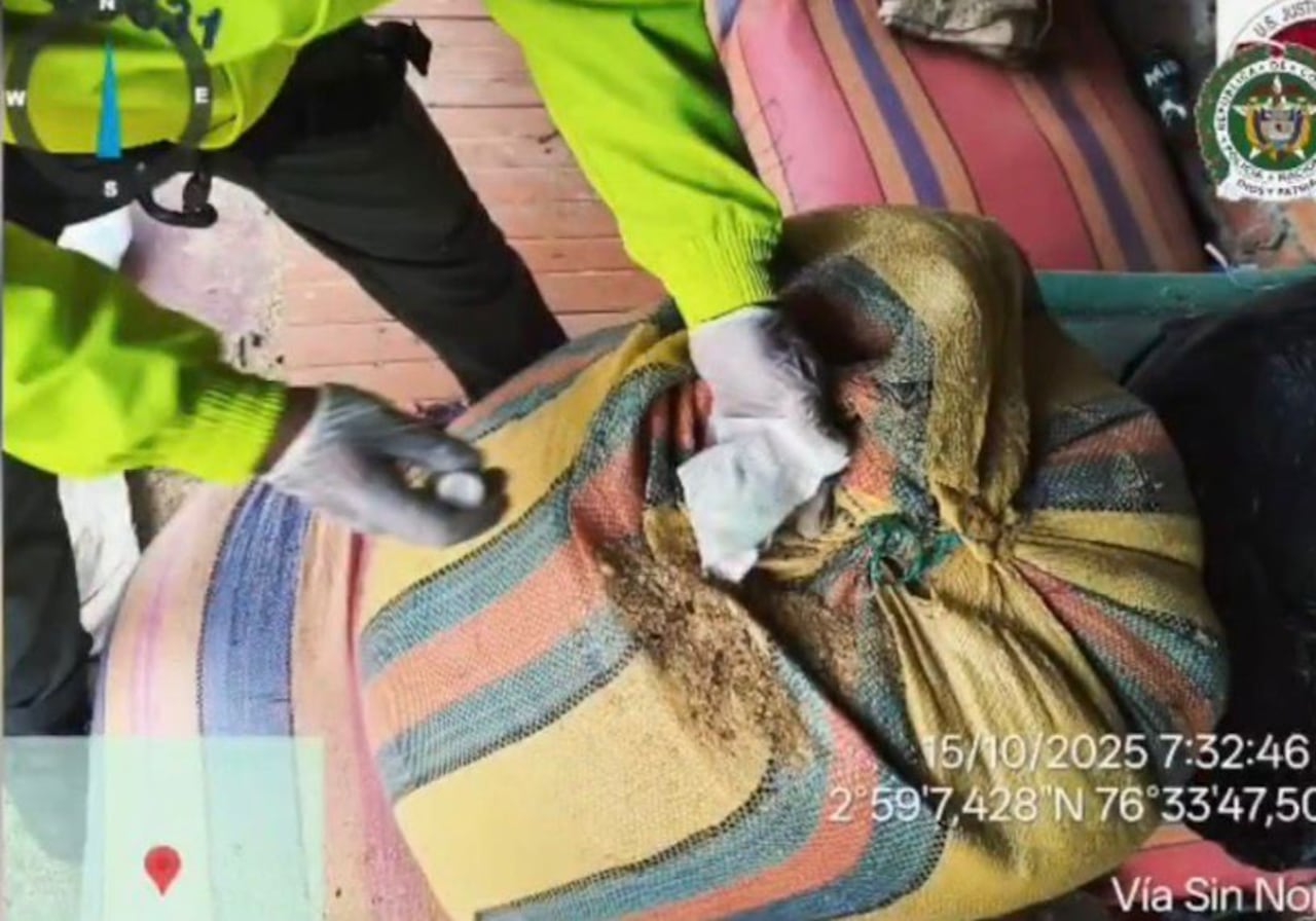 Policía, Ejército y Fuerza Aérea decomisan cocaína camuflada con destino a EE.UU. y Europa