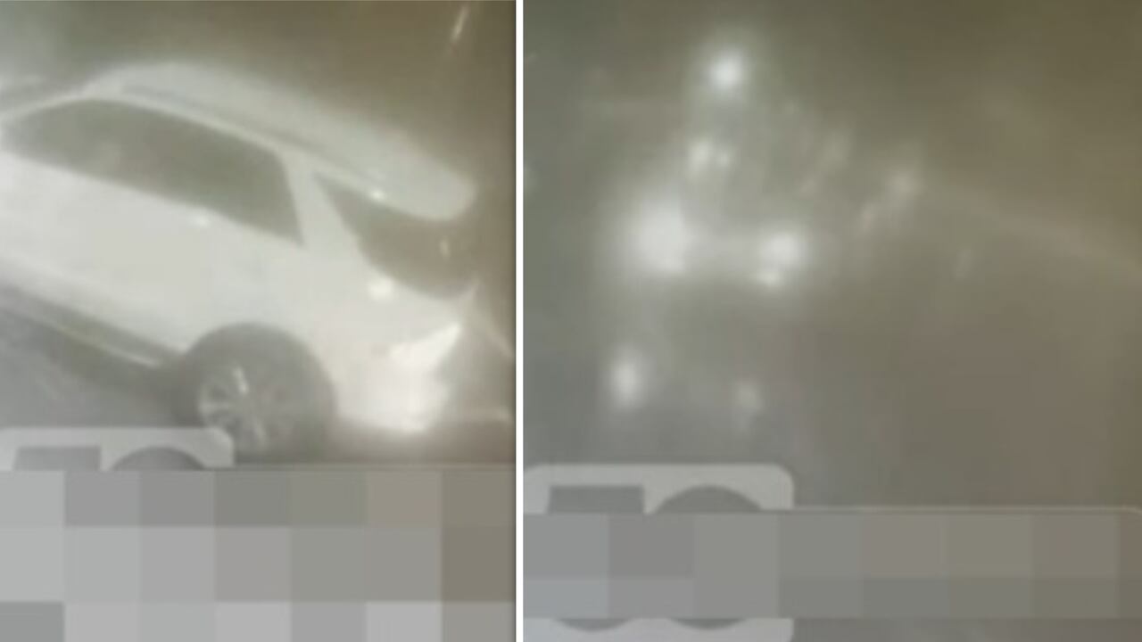 Todo quedó registrado en un video que se publicó en las redes sociales