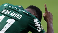 Palmeiras
