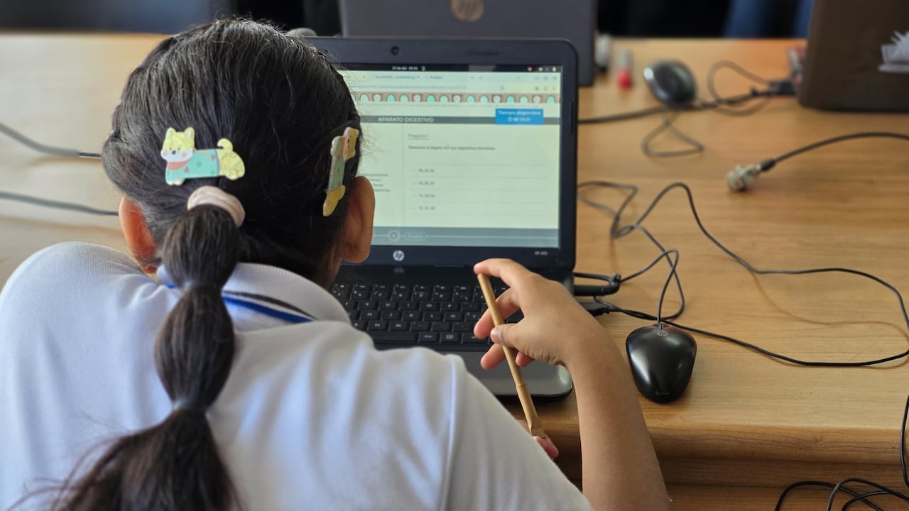 Las instituciones participantes registraron incrementos promedio del 8,7 por ciento en inglés, 7,2 por ciento en matemáticas y 5,8 por ciento en lectura crítica.