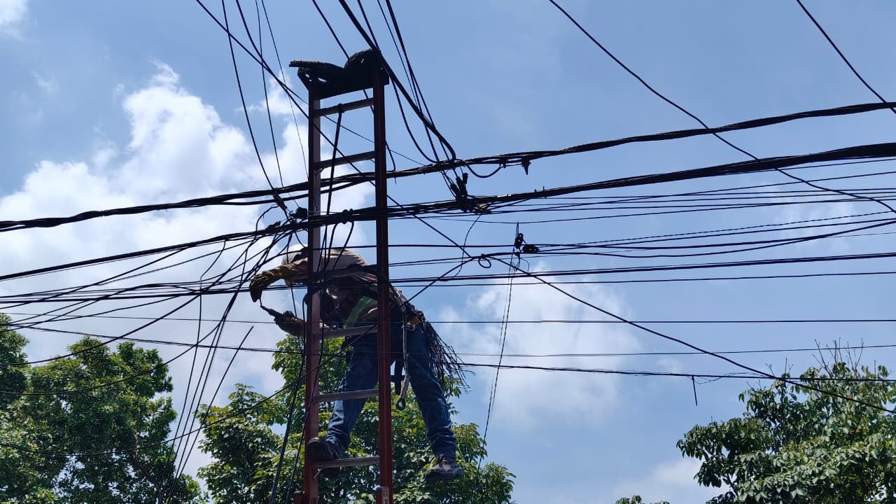 Cali: Cuadrillas de Emcali inician campaña "Cali sin enredos" direccionada a organizar los cables ubicados en los postes de luz en las vías principales de la ciudad.