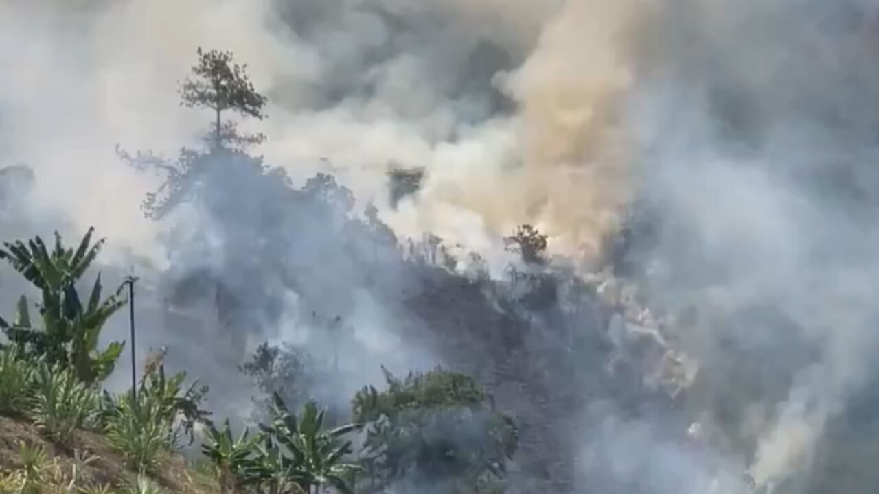 Los bomberos de Cali atendieron la conflagración.