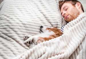 De acuerdo con el veterinario Ricardo Loaiza, un ejemplo de conducta de humanización de las mascotas es cuando obligamos a nuestros perros y gatos a dormir en camas diseñadas ergonómicamente para los humanos y les hacemos adoptar posiciones que alteran su biometría. Cuando son ellas las que la cambian naturalmente, denotan la confianza que nos tienen.