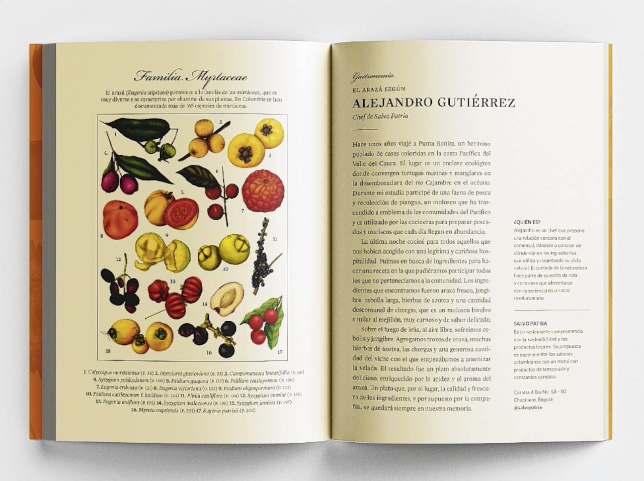Frutas Asombrosas , Gian Paolo Dáguer.