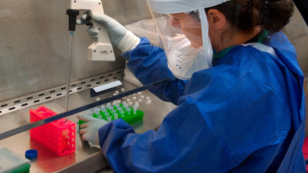 El virus fue detectado por las autoridades sanitarias en Países Bajos