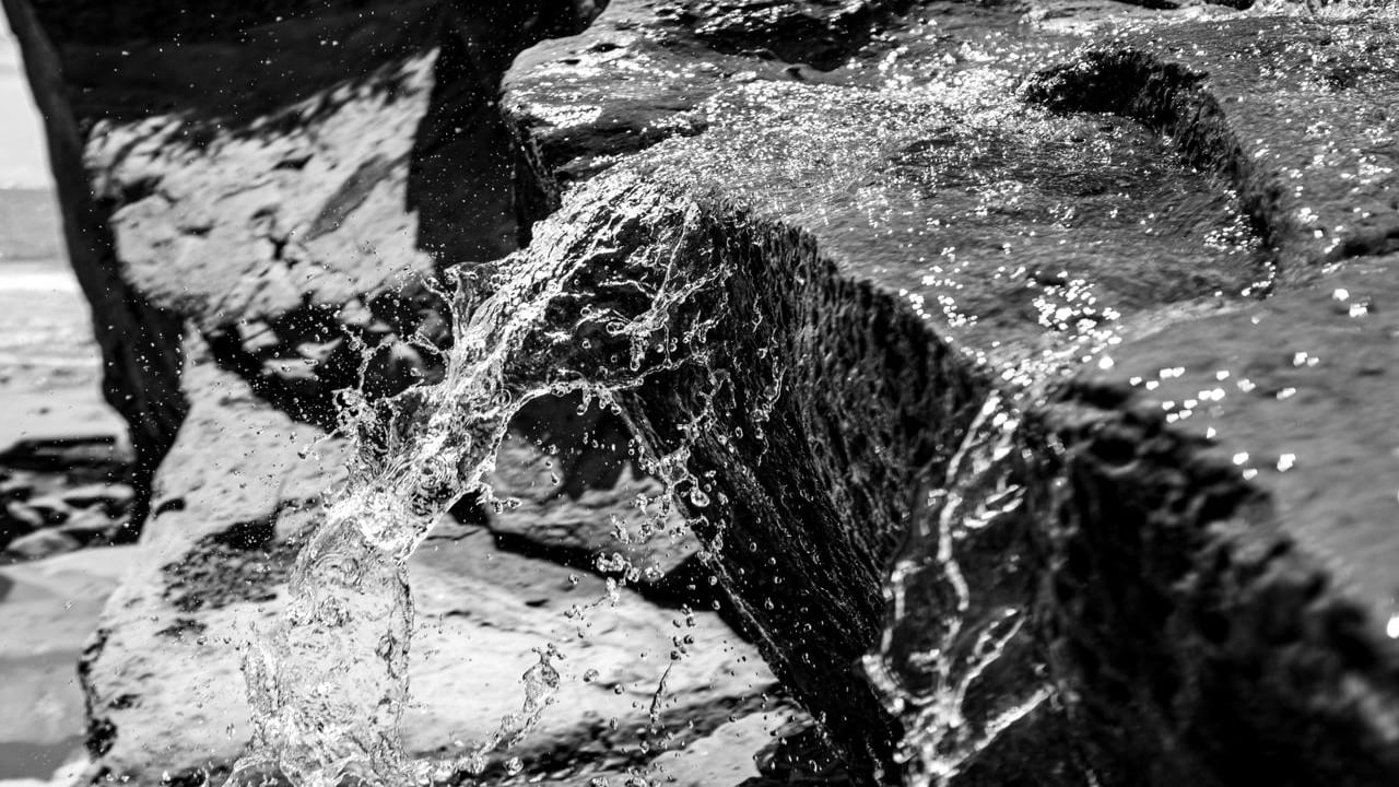 El agua como eje de la vida, transformadora del paisaje y protagonista de una experiencia visual que invita a la contemplación es la propuesta de las series fotográficas “El Camino del Agua, Páramo y Pacífico” de la artista caleña Marcela Bellini, que se presentará en CaliLee - Festival Internacional del Libro de Cali 2026, el próximo 2 de noviembre, a las 4:00 p. m., en el Auditorio TQ. El encuentro será presentado por Nur Cure.