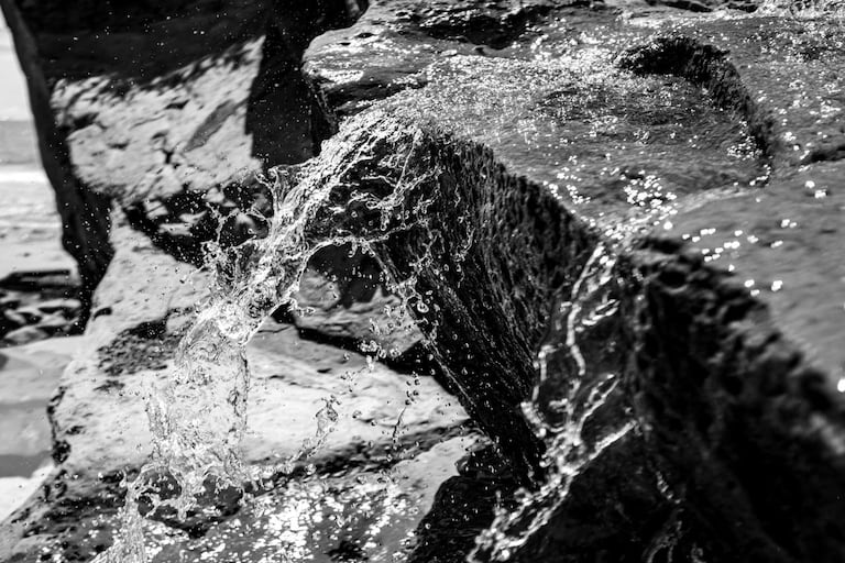 El agua como eje de la vida, transformadora del paisaje y protagonista de una experiencia visual que invita a la contemplación es la propuesta de las series fotográficas “El Camino del Agua, Páramo y Pacífico” de la artista caleña Marcela Bellini, que se presentará en CaliLee - Festival Internacional del Libro de Cali 2026, el próximo 2 de noviembre, a las 4:00 p. m., en el Auditorio TQ. El encuentro será presentado por Nur Cure.