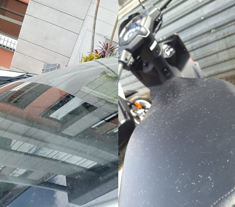 Habitantes del sector de Yanaconas, en Popayán, reportaron este viernes caída de ceniza volcánica proveniente de la Cadena Volcánica Los Coconucos, situación que mantiene en alerta a las autoridades y comunidades de la capital caucana.