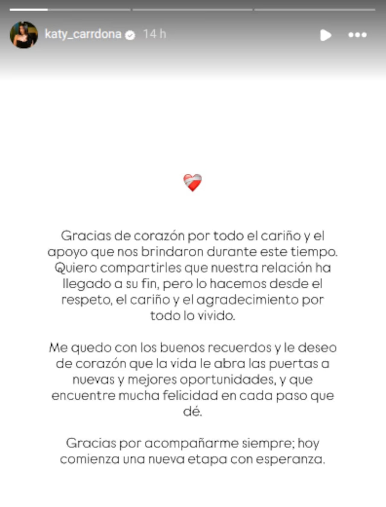 En la imagen, difundida sobre un fondo blanco y un corazón, la creadora de contenido agradeció el apoyo recibido por parte de su audiencia.
