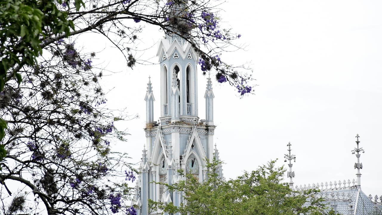 En diferentes partes de la ciudad, se puede observar que ya comienzan a florecer los guayacanes.