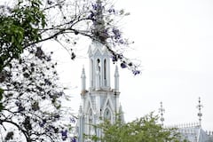 En diferentes partes de la ciudad, se puede observar que ya comienzan a florecer los guayacanes.
