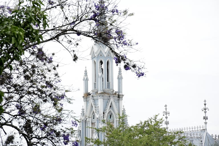 En diferentes partes de la ciudad, se puede observar que ya comienzan a florecer los guayacanes.