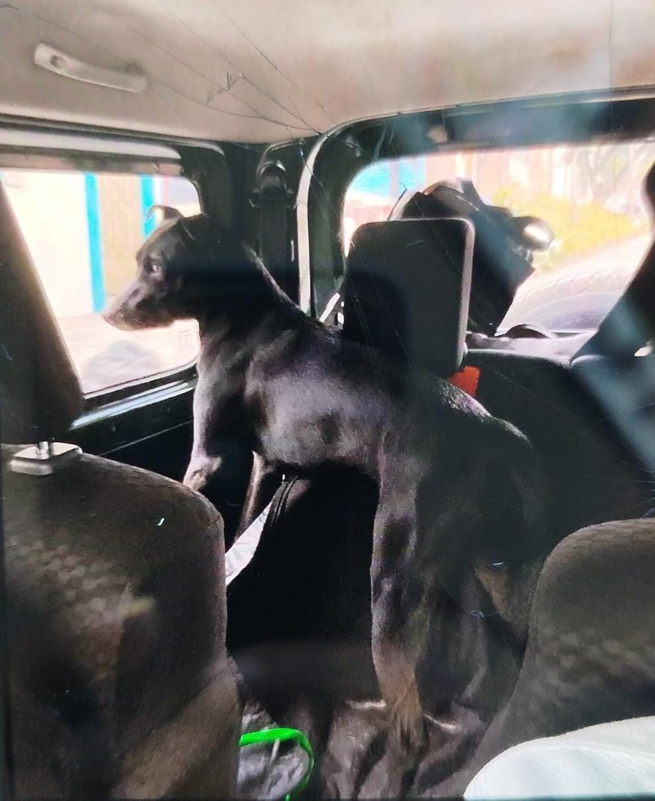 Esta es una de las dos fotos que usaron los policías y amos para buscar a Horuz por la capital del Cauca.