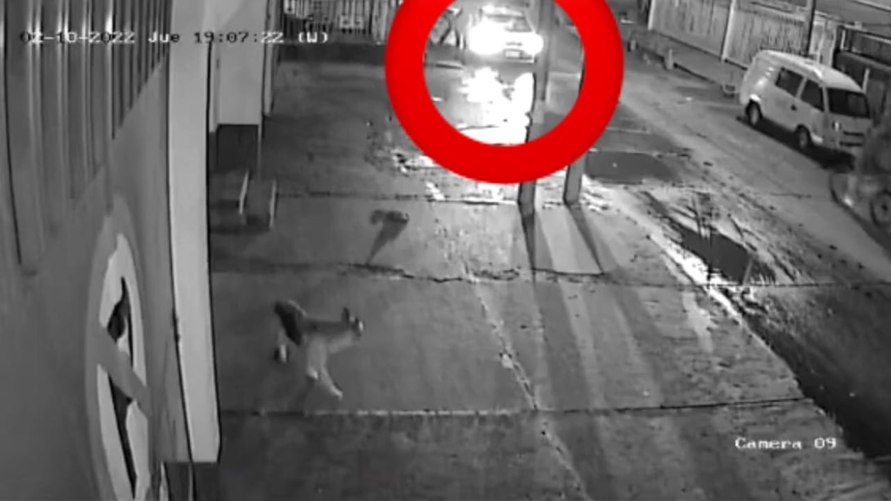 Un hombre en Bogotá reveló un caso de atracó mediante la modalidad de escopolamina. Una mujer que conoció por Tinder lo asaltó.