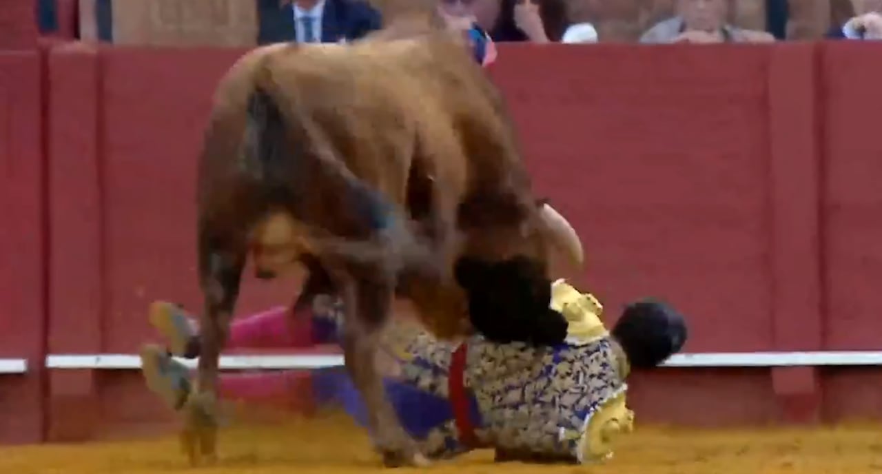 Momento en el que José Antonio Morante de la Puebla es corneado.