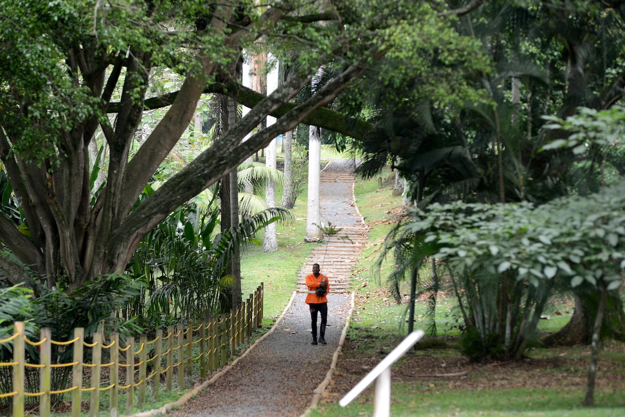 Cali: Ciudad Jardín, comuna 20. Recuperación y adecuación del Humedal La Babilla y zanjón del burro dentro del cierre del convenio CVC, Dagma, Fundesomeco.