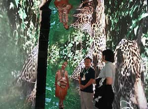 Cali: Cop 16, zona azul. Los indígenas grandes protectores de la naturaleza esperan las conclusiones que se darán a conocer mañana al finalizar la Cop 16, foto José L Guzmán. EL País