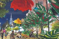 Cada año los caleños celebran el inicio de la Navidad con el encendido de las luces, que se toman la ciudad en distintos puntos, ofreciendo un espectáculo de color, historia y tradición.