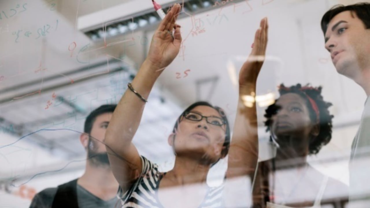 Trabajadores de HP dentro de la estrategia sostenible de la empresa.
HP
6/7/2021