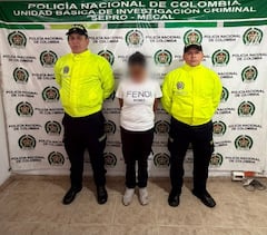 Autoridades judiciales coordinaron el despliegue operativo en Cali que permitió la captura de la mujer que abusaba sexualmente de la menor de edad.