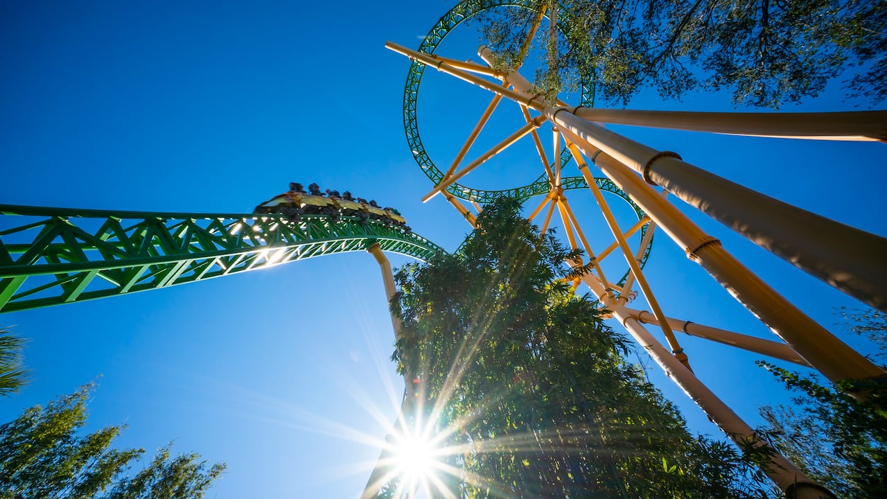 Cheetah Hunt, montaña rusa en Busch Gardens Tampa Bay, de United Parks and Resorts (Florida, Estados Unidos).