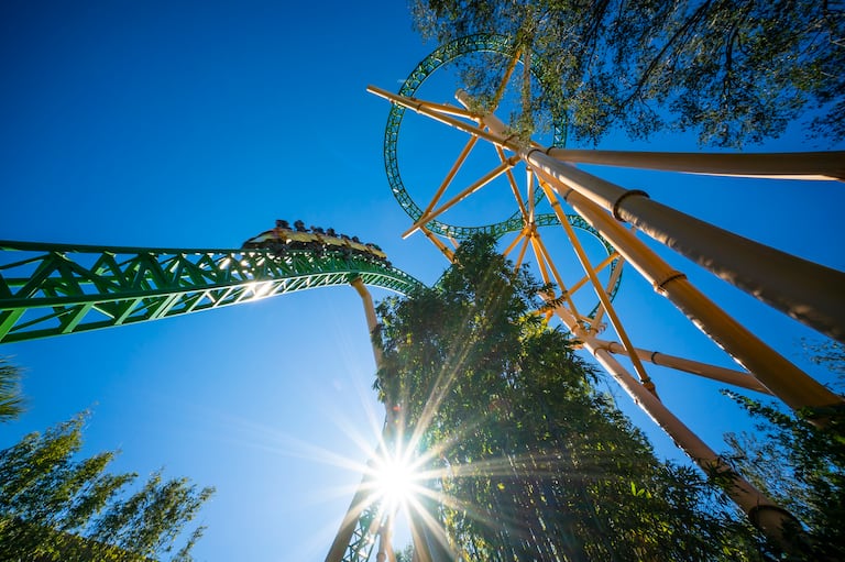 Cheetah Hunt, montaña rusa en Busch Gardens Tampa Bay, de United Parks and Resorts (Florida, Estados Unidos).