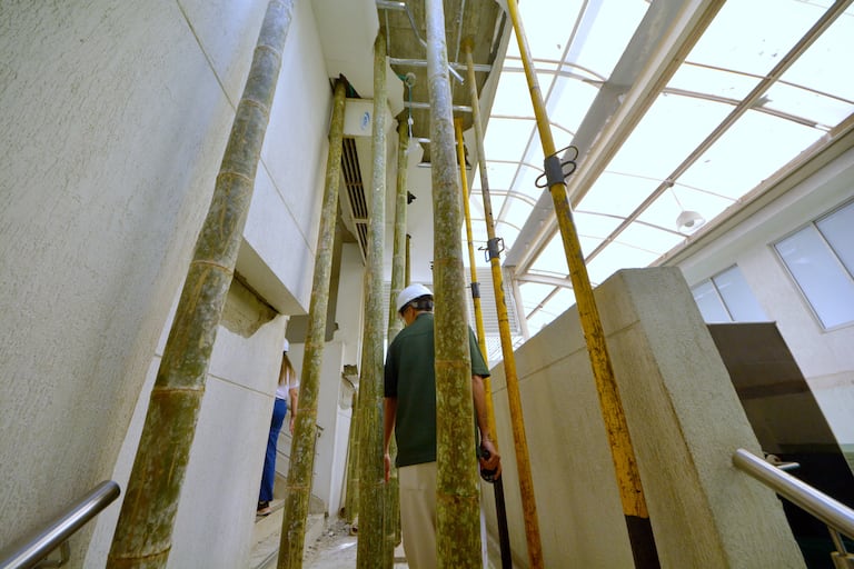 La torre de consulta externa del Hospital Carlos Holmes Trujillo, ubicado en el oriente de Cali, quedó en riesgo de colapso e inhabilitada completamente debido a los graves daños estructurales causados por el terremoto del pasado 10 de agosto de 2026. El sismo afectó sus ascensores, escaleras, muros y fachadas, obligando a evacuar los 40 consultorios que operaban en esa sede.