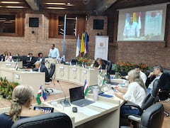 Cali: Sesión del Concejo de Cali, debate elección contralor