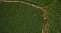 En el municipio de Guachené, norte del departamento del Cauca, avanzan importantes obras de infraestructura vial que buscan transformar las condiciones de vida de las comunidades rurales, históricamente afectadas por el abandono estatal y las dificultades de acceso.