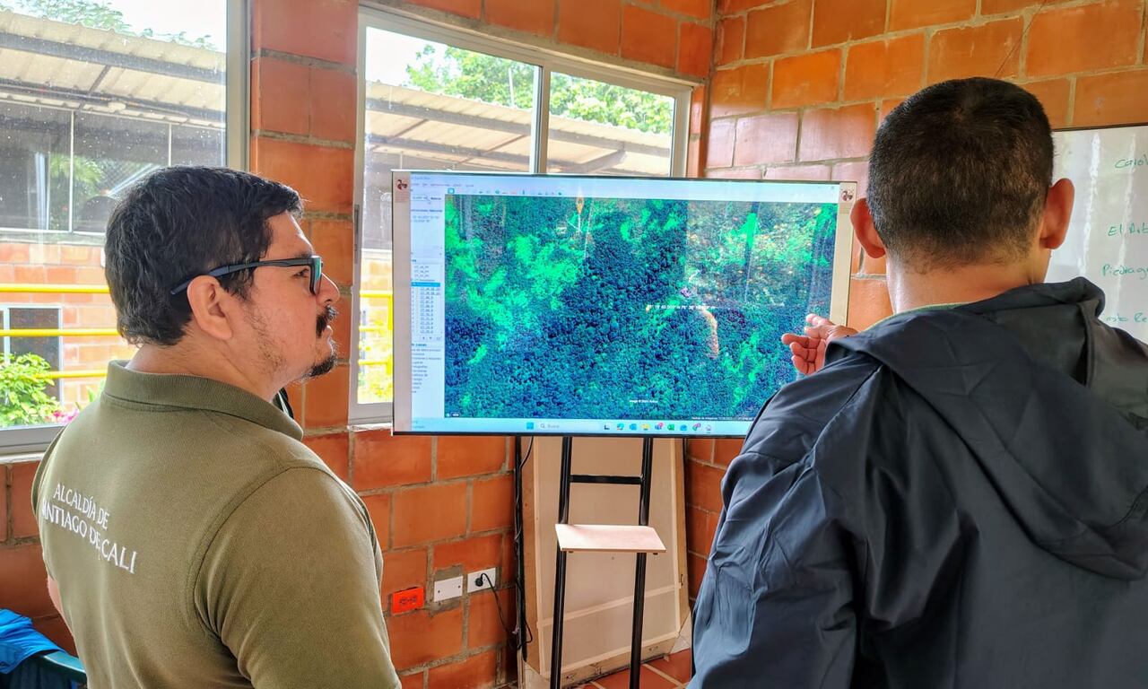 Durante las primeras jornadas, se han identificado rastros de pumas, osos de anteojos, armadillos y cusumbos.