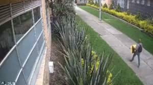 Ladrón de urna de ofrendas en Bogotá