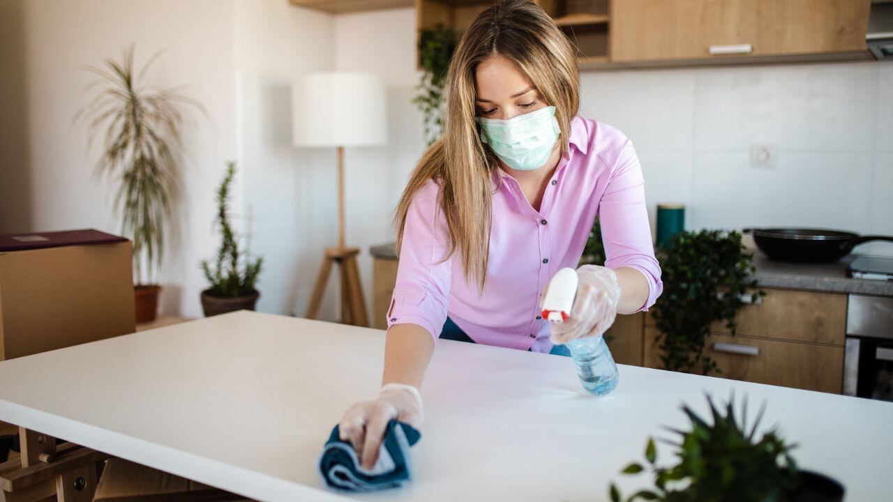 Repelente para insectos en la cocina.