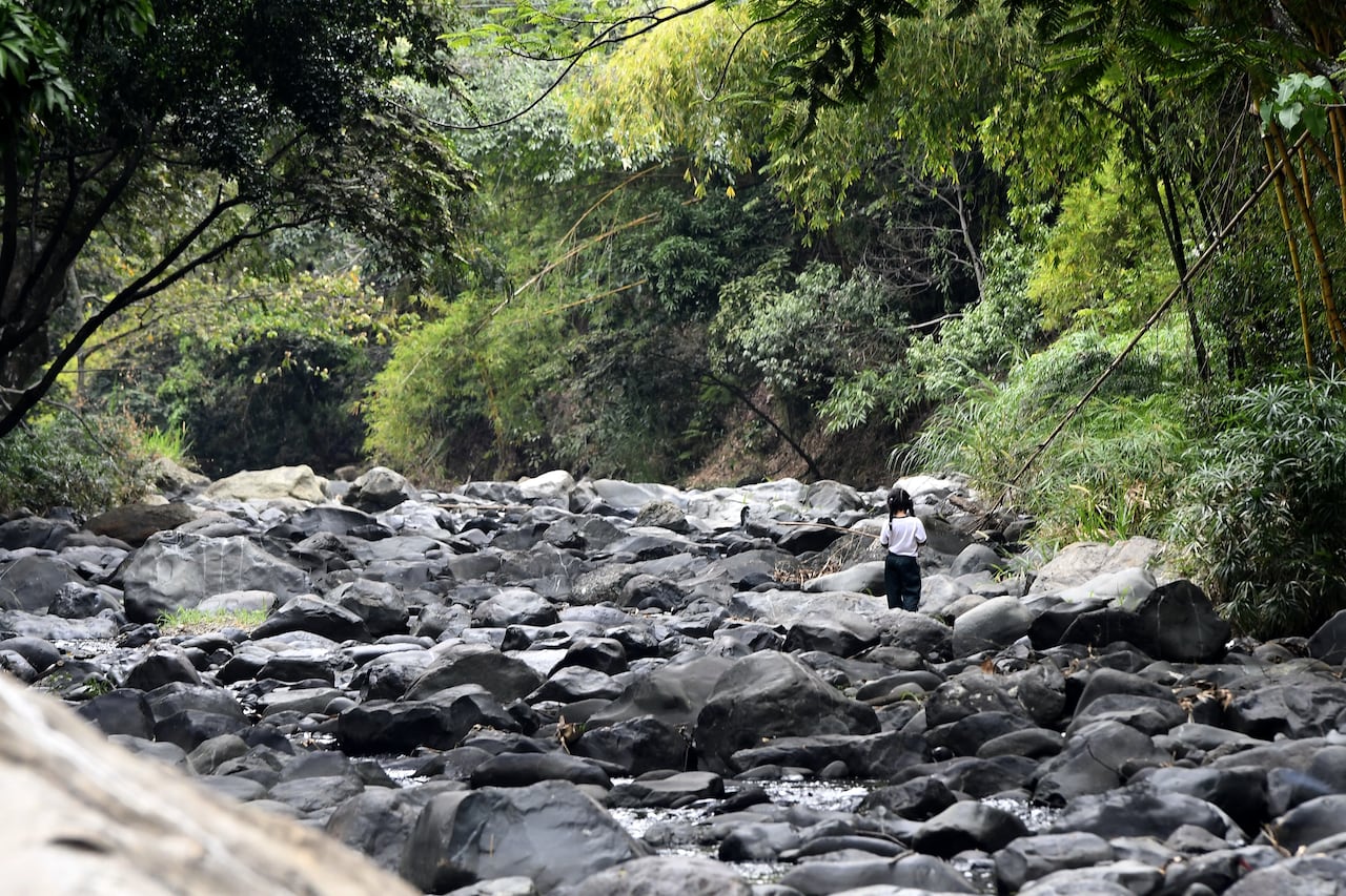 Cali: El bajo caudal en los principales ríos que atraviesan la ciudad de Cali (Cauca, Pance, Cali, )genera preocupación en las autoridades por su bajo nivel al llegar a la boca tomas del acueducto. foto José L Guzmán. El País